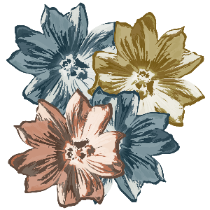 illustrierte Malve Blüten in verschiedenen Farben